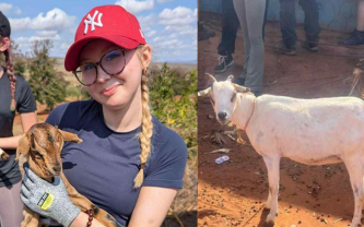 Isla has made it to Kenya safe!